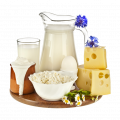 Dairy Products